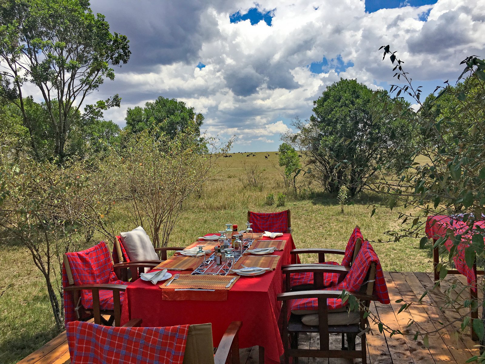 Bush breakfast